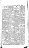 Shoreditch Observer Saturday 22 June 1907 Page 7