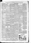 Shoreditch Observer Saturday 07 August 1909 Page 5