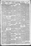 Shoreditch Observer Saturday 29 January 1910 Page 5