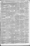Shoreditch Observer Saturday 12 February 1910 Page 3