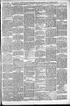 Shoreditch Observer Saturday 12 February 1910 Page 7