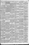 Shoreditch Observer Saturday 12 March 1910 Page 3