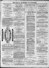 Walsall Advertiser Saturday 26 June 1869 Page 3