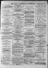 Walsall Advertiser Saturday 21 February 1874 Page 3