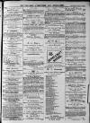 Walsall Advertiser Saturday 18 April 1874 Page 3