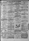 Walsall Advertiser Saturday 15 August 1874 Page 3