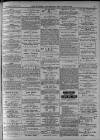 Walsall Advertiser Saturday 26 June 1875 Page 3