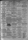 Walsall Advertiser Saturday 24 July 1875 Page 3