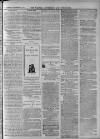 Walsall Advertiser Tuesday 30 November 1875 Page 3