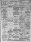 Walsall Advertiser Saturday 25 March 1876 Page 3