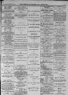 Walsall Advertiser Saturday 08 January 1876 Page 3