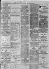 Walsall Advertiser Tuesday 07 March 1876 Page 3