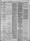 Walsall Advertiser Tuesday 14 March 1876 Page 3