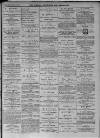 Walsall Advertiser Saturday 10 June 1876 Page 3