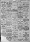 Walsall Advertiser Saturday 05 August 1876 Page 3