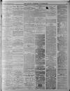Walsall Advertiser Tuesday 06 February 1877 Page 3