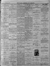 Walsall Advertiser Saturday 10 February 1877 Page 3