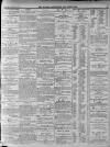 Walsall Advertiser Saturday 17 March 1877 Page 3