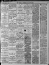 Walsall Advertiser Tuesday 20 March 1877 Page 3