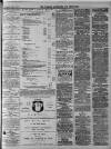 Walsall Advertiser Tuesday 10 April 1877 Page 3