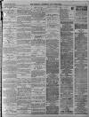 Walsall Advertiser Tuesday 29 May 1877 Page 3