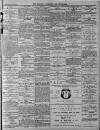 Walsall Advertiser Saturday 09 June 1877 Page 3