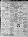 Walsall Advertiser Saturday 23 June 1877 Page 3