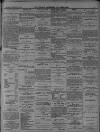 Walsall Advertiser Saturday 16 February 1878 Page 3