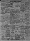 Walsall Advertiser Saturday 13 April 1878 Page 3