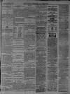 Walsall Advertiser Tuesday 08 October 1878 Page 3