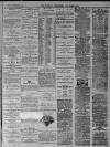 Walsall Advertiser Tuesday 24 December 1878 Page 3