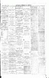 Walsall Advertiser Tuesday 11 January 1881 Page 3