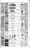 Walsall Advertiser Saturday 10 June 1893 Page 4