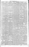 Walsall Advertiser Saturday 05 January 1895 Page 5