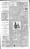 Walsall Advertiser Saturday 20 March 1909 Page 9