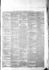 Holborn Journal Saturday 10 June 1871 Page 5