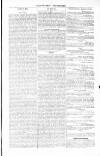 Teesdale Mercury Wednesday 11 July 1855 Page 5