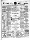 Teesdale Mercury Wednesday 06 June 1860 Page 1