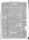 Teesdale Mercury Wednesday 15 June 1864 Page 5