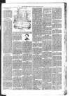 Fife Free Press Saturday 15 February 1896 Page 3