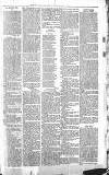 Sevenoaks Chronicle and Kentish Advertiser Friday 18 February 1881 Page 7