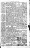 Sevenoaks Chronicle and Kentish Advertiser Friday 18 March 1881 Page 3