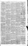 Sevenoaks Chronicle and Kentish Advertiser Friday 08 April 1881 Page 3