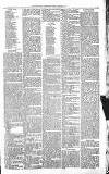 Sevenoaks Chronicle and Kentish Advertiser Friday 08 April 1881 Page 7