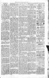 Sevenoaks Chronicle and Kentish Advertiser Friday 15 April 1881 Page 3