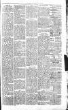 Sevenoaks Chronicle and Kentish Advertiser Friday 22 April 1881 Page 3