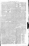 Sevenoaks Chronicle and Kentish Advertiser Friday 29 April 1881 Page 5