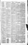 Sevenoaks Chronicle and Kentish Advertiser Friday 06 May 1881 Page 7