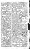 Sevenoaks Chronicle and Kentish Advertiser Friday 13 May 1881 Page 3