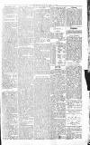 Sevenoaks Chronicle and Kentish Advertiser Friday 13 May 1881 Page 5